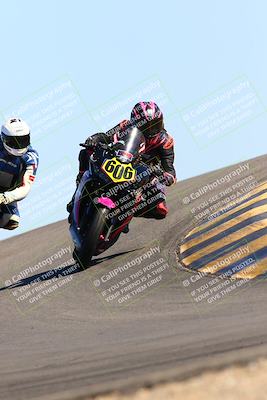 media/Feb-12-2022-SoCal Trackdays (Sat) [[3b21b94a56]]/Turn 12 (140pm)/